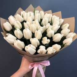 Букет из 49 белых тюльпанов