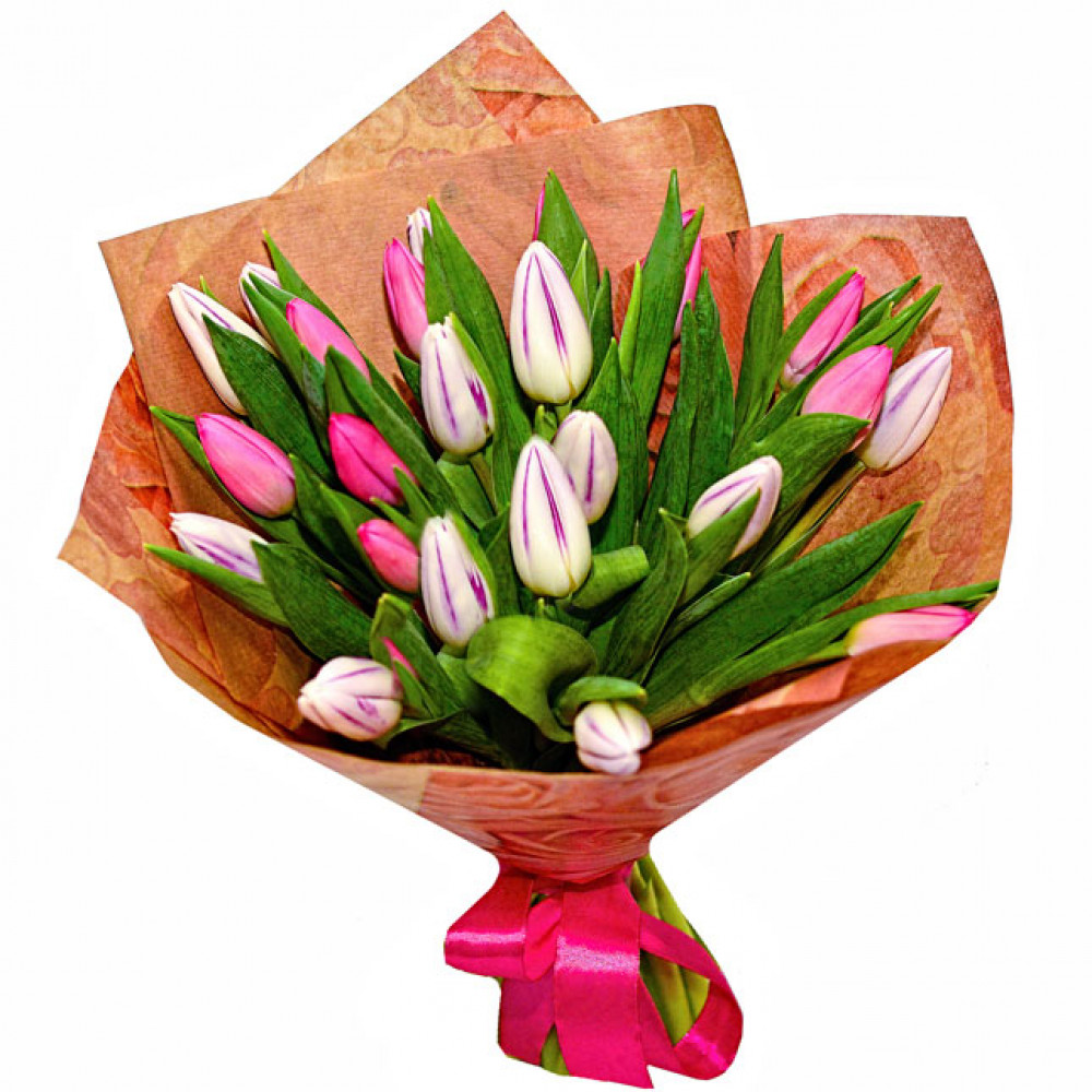 Букет цветов «25 тюльпанов»