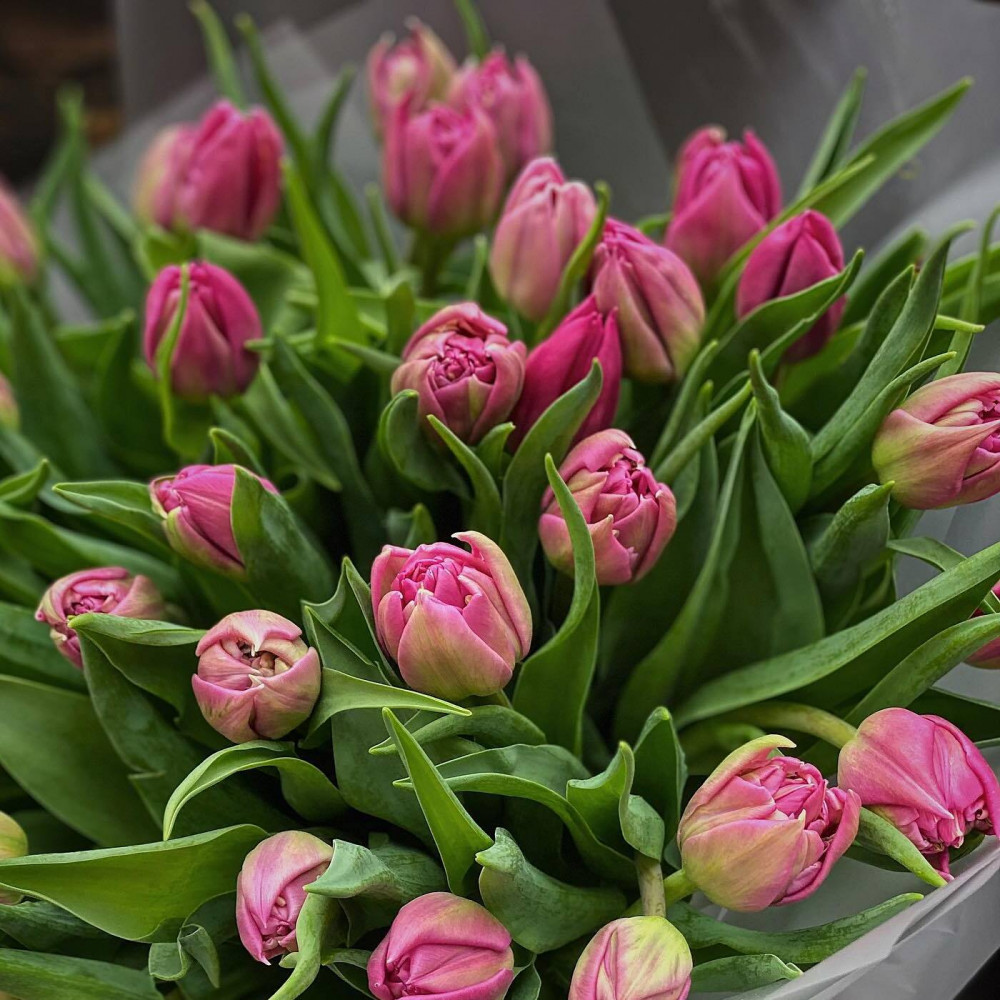 Букет цветов «Букет из розовых пионовидных тюльпанов» - фото 2
